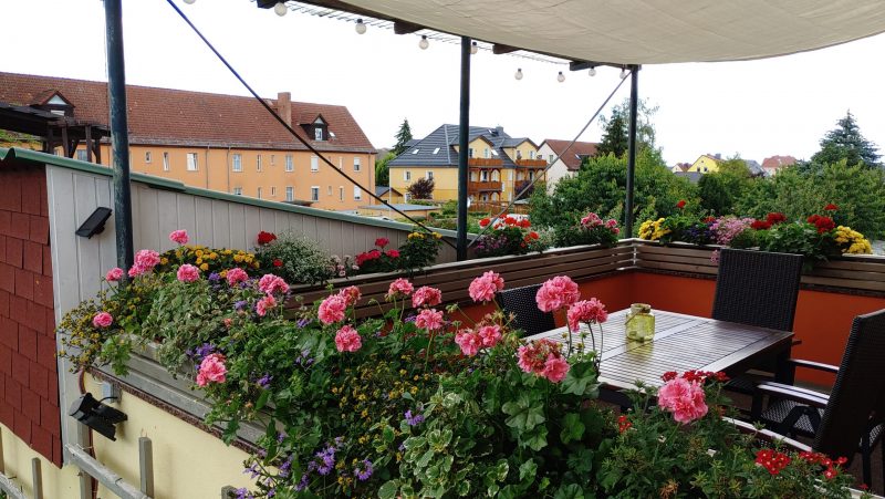 Die große Wohnung